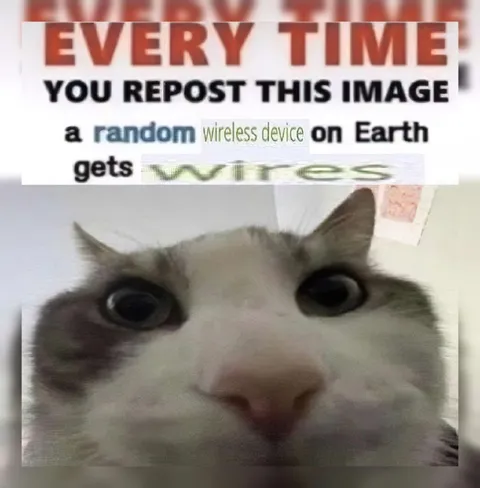 Every Repost Gets a Virus