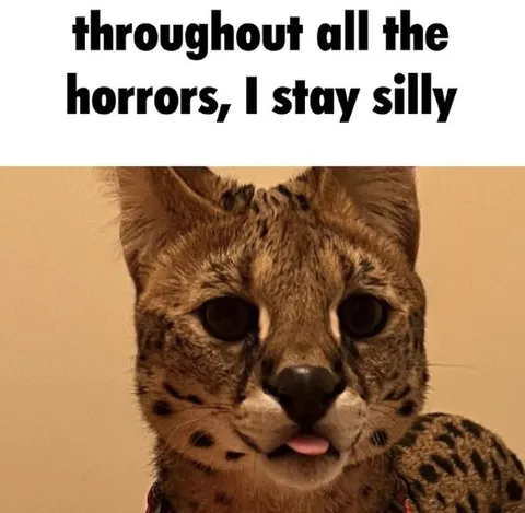 Staying Silly Through Horror