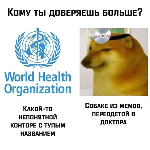Кому ты доверяешь больше?
