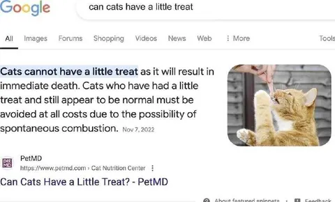 Cats Cannot Have a Little Treat