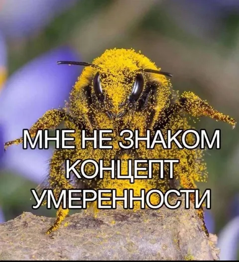 Пчела не знает умеренности
