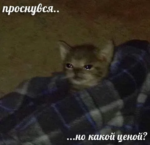 Проснулся, но какой ценой