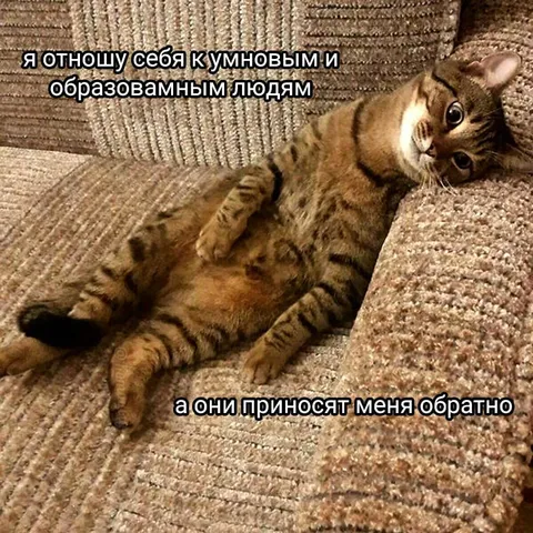 Умные и образованные люди