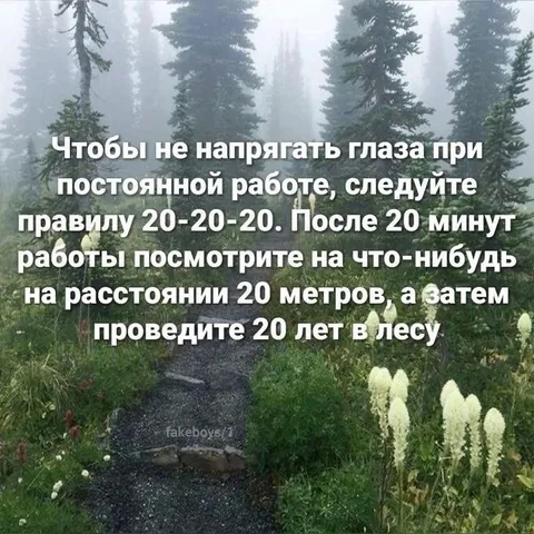 Правило 20-20-20 в лесу