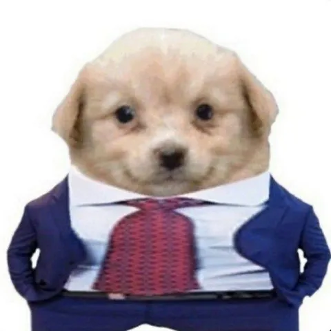 Собака в деловом костюме