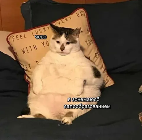 Кот занимается салообразованием