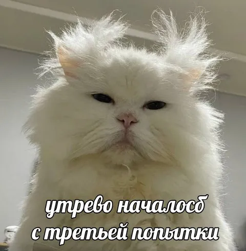 Утро с третьей попытки