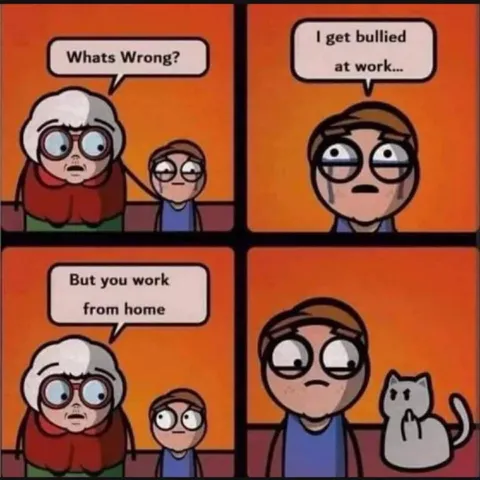 Bullied While Working From Home