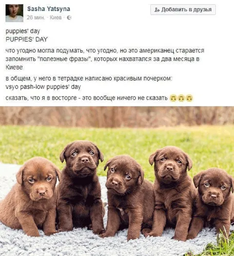 Американец учит полезные фразы