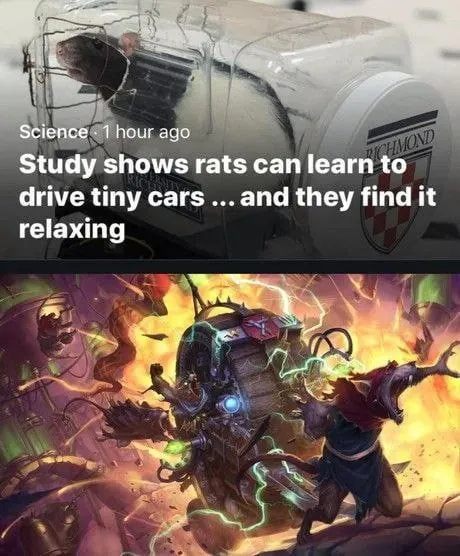 Rats Find Tiny Cars Relaxing