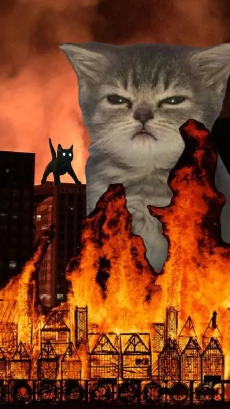 Grumpy Cat Burns the City