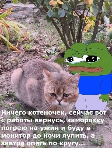 Ничего, котеночек, сейчас вернусь