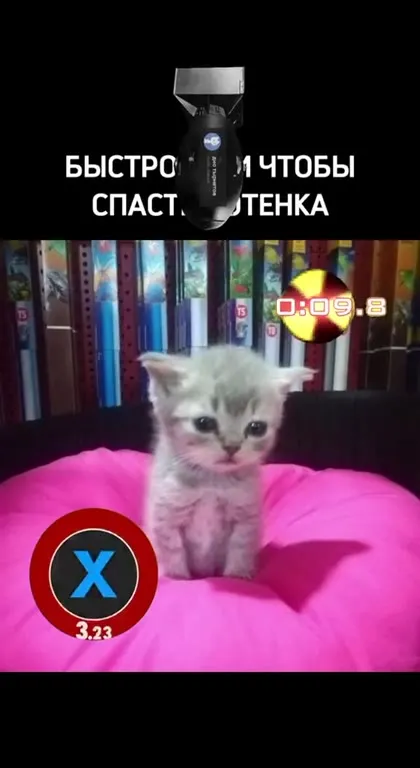 Быстро спаси котенка