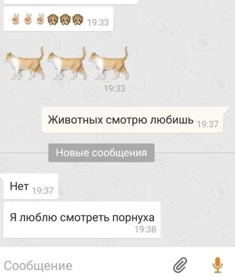 Я люблю смотреть порнуху