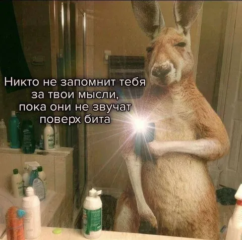 Кенгуру с мыслями поверх бита