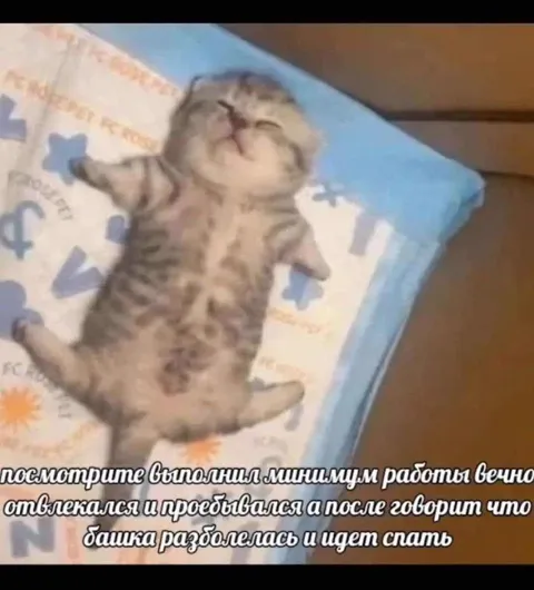 Кот после минимальной работы