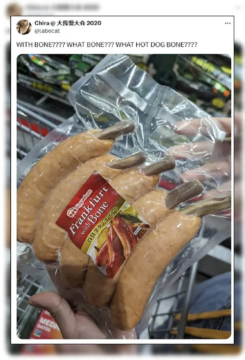Hot Dog With a Bone