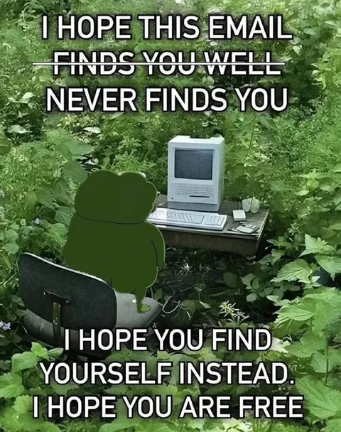 I Hope This Email Never Finds You