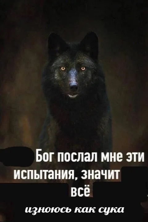 Волк и божьи испытания