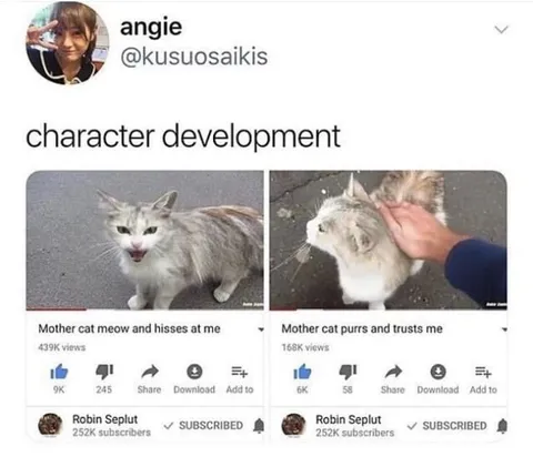 Cat Character Development