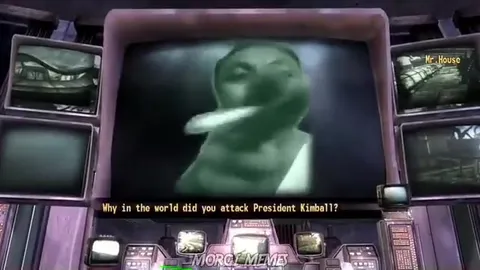 Cat Explains Attacking President Kimball