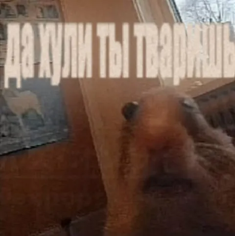 Я тут не причем