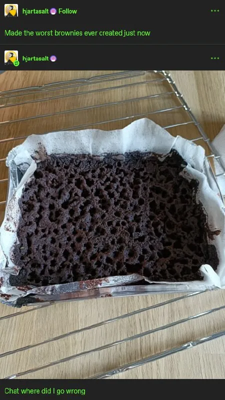 Worst Brownies Ever Created