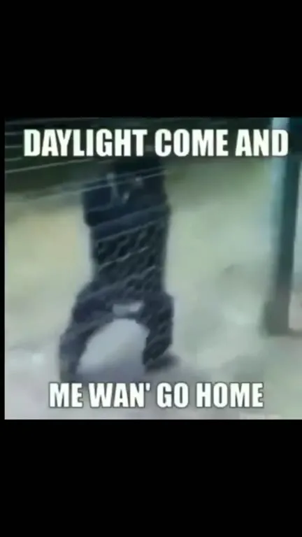 Daylight Come, Monkeys Go Home