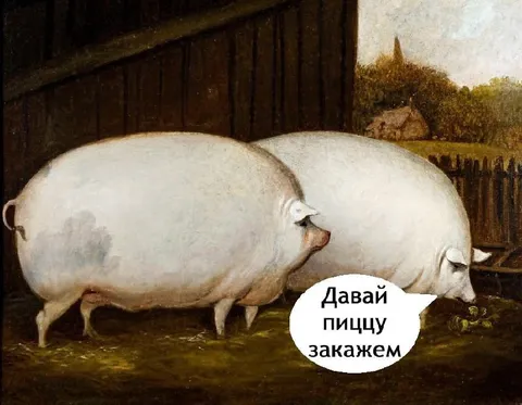 Давай пиццу закажем
