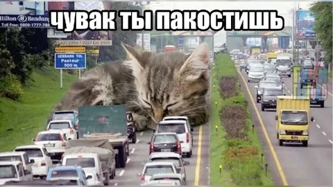 Чувак ты лакостишь