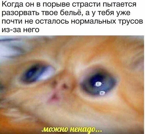 Почти не осталось нормальных трусов