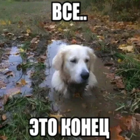 Всё, это конец