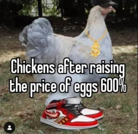 Chickens Raise Egg Prices