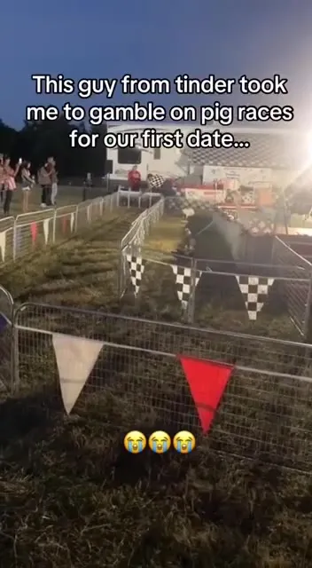 Tinder Date Pig Race Disaster