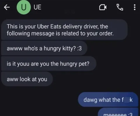 Hungry Kitty Uber Eats Driver