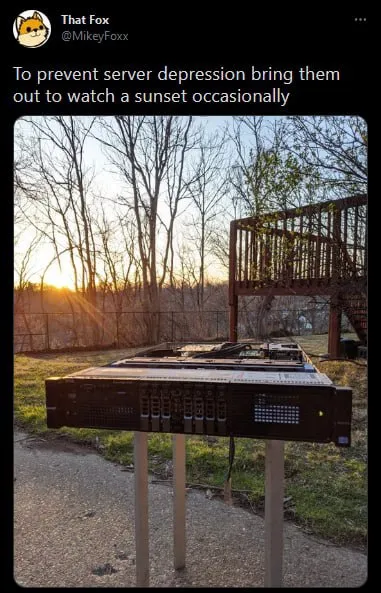 Servers Watching the Sunset