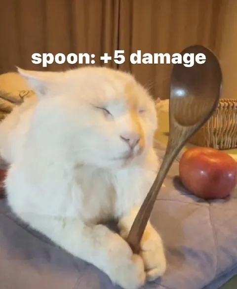 Spoon Plus Five Damage Cat