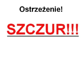 Ostrzeżenie! Szczur!!!
