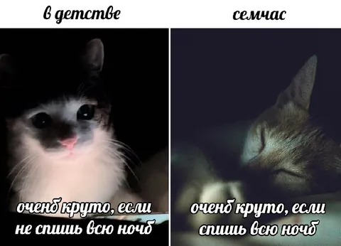Круто не спать всю ночь