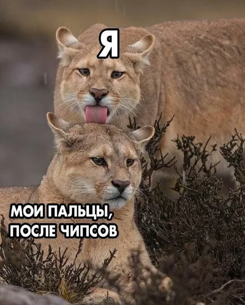 Мои пальцы после чипсов