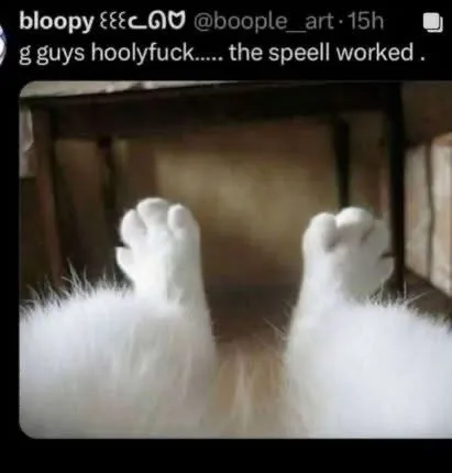 The Spell Worked