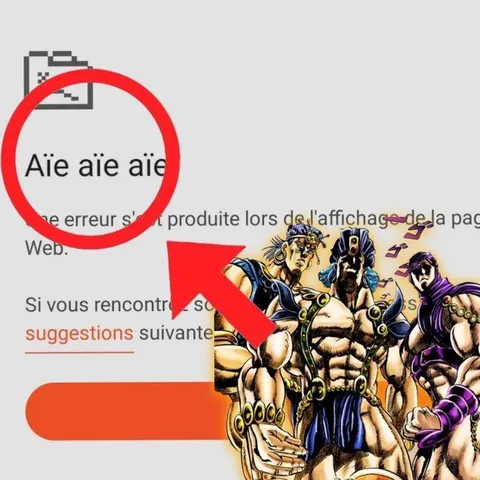Aïe aïe aïe erreur Web