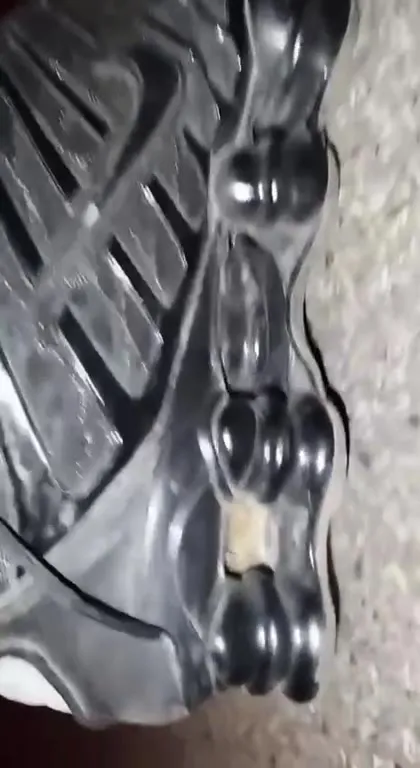 Хомяк выглядывает из тапка