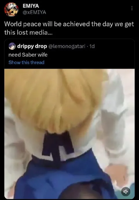 Lost Media Saber Wife