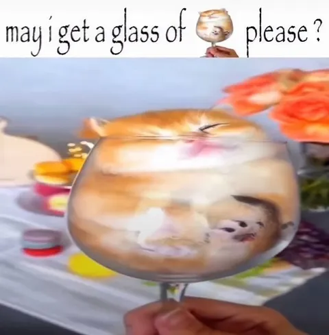Hamster in a Glass Please