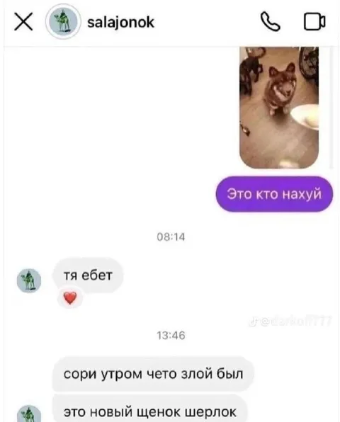 Злой утром из-за щенка