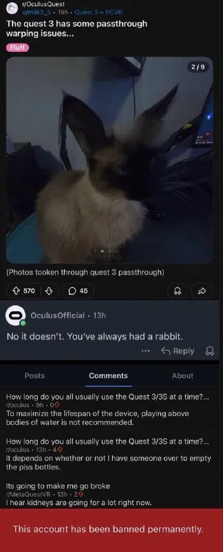 Rabbit Through Quest 3 Passthrough