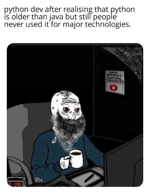 Python Developer Existential Crisis