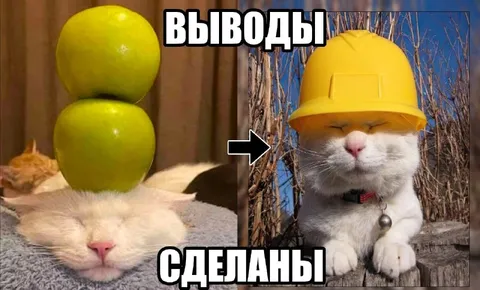 Выводы сделаны