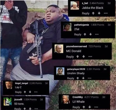 Unslim Shady Comment Roast